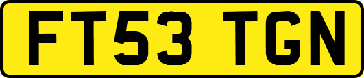 FT53TGN