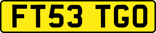 FT53TGO