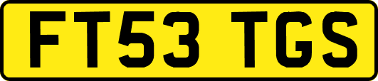 FT53TGS