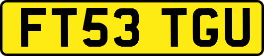 FT53TGU