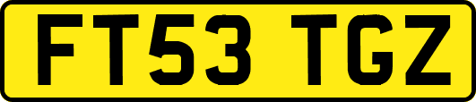FT53TGZ