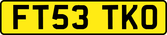 FT53TKO