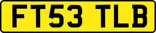 FT53TLB