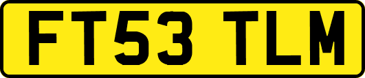 FT53TLM