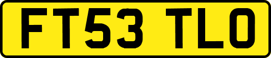 FT53TLO