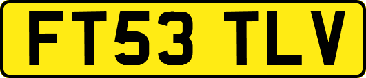 FT53TLV