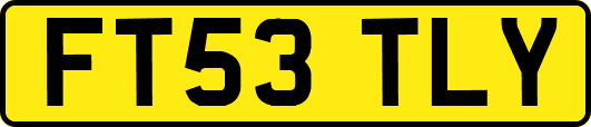 FT53TLY