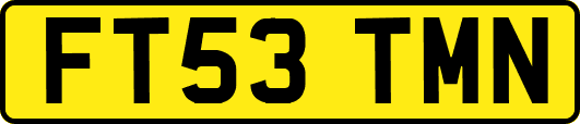 FT53TMN