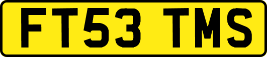 FT53TMS