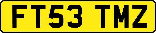 FT53TMZ