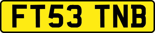 FT53TNB