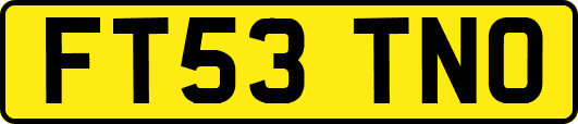 FT53TNO