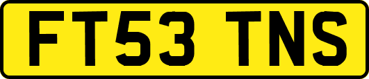 FT53TNS