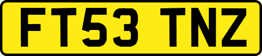 FT53TNZ