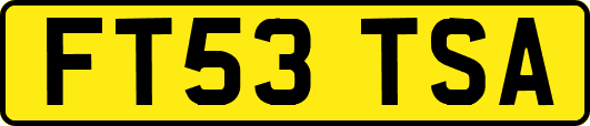 FT53TSA