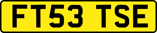 FT53TSE