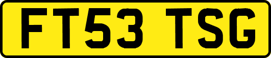 FT53TSG