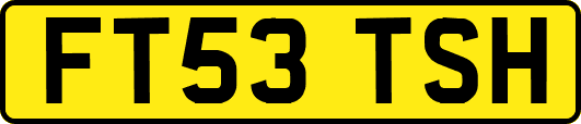 FT53TSH