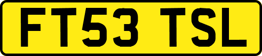 FT53TSL