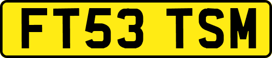 FT53TSM