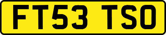 FT53TSO