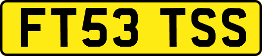 FT53TSS