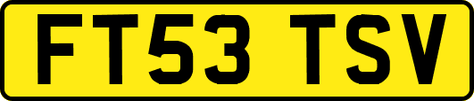 FT53TSV