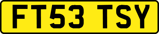 FT53TSY
