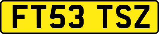 FT53TSZ