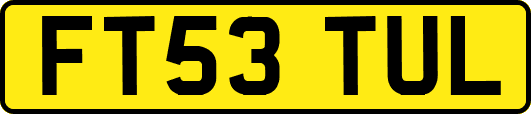 FT53TUL