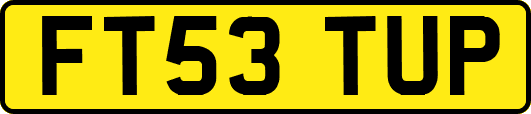 FT53TUP