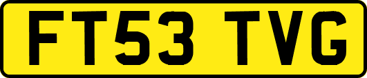 FT53TVG