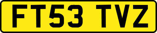 FT53TVZ