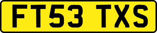 FT53TXS