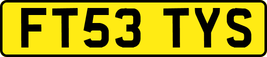 FT53TYS