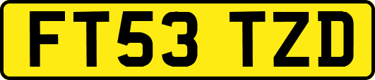 FT53TZD