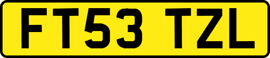 FT53TZL