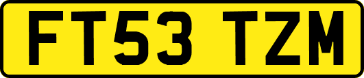 FT53TZM