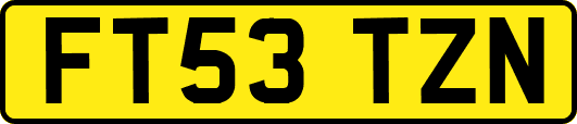 FT53TZN