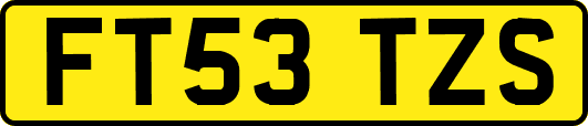 FT53TZS