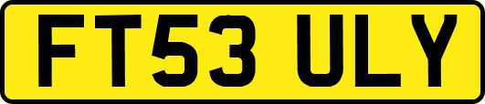 FT53ULY