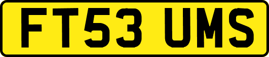 FT53UMS