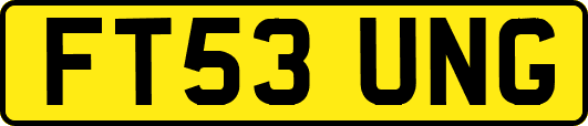 FT53UNG