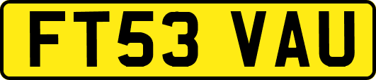 FT53VAU