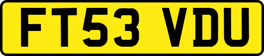 FT53VDU