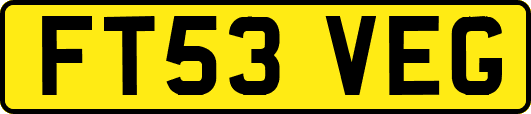 FT53VEG