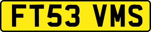 FT53VMS