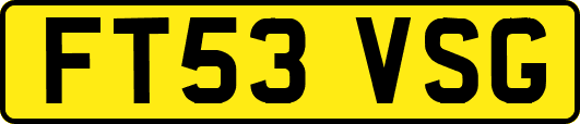 FT53VSG