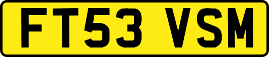 FT53VSM