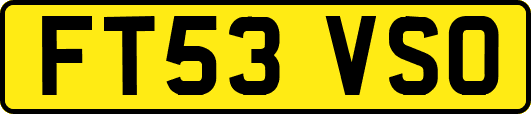 FT53VSO